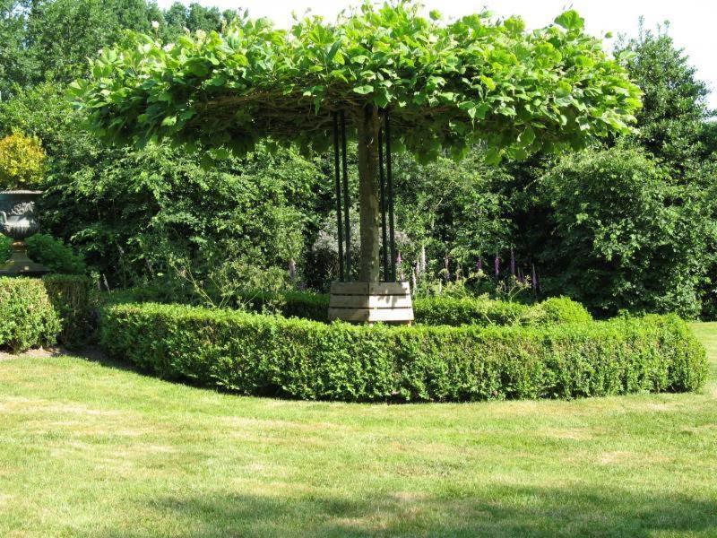 Erfgoedlogies Bed And Breakfast 'T Olde Hof Westervelde ภายนอก รูปภาพ